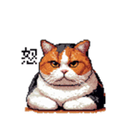 ドット絵 太っちょ三毛猫 日常会話（個別スタンプ：12）