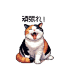 ドット絵 太っちょ三毛猫 日常会話（個別スタンプ：17）