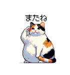 ドット絵 太っちょ三毛猫 日常会話（個別スタンプ：21）