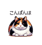 ドット絵 太っちょ三毛猫 日常会話（個別スタンプ：25）