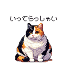 ドット絵 太っちょ三毛猫 日常会話（個別スタンプ：29）