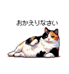 ドット絵 太っちょ三毛猫 日常会話（個別スタンプ：30）