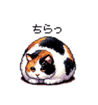 ドット絵 太っちょ三毛猫 日常会話（個別スタンプ：31）