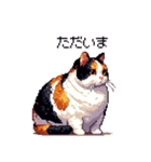 ドット絵 太っちょ三毛猫 日常会話（個別スタンプ：39）