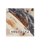 ほんのり哲学的思考が垣間見えるうさぎ（個別スタンプ：14）