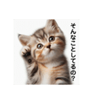 いじめ許さない子猫（個別スタンプ：3）