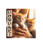 いじめ許さない子猫（個別スタンプ：4）