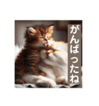 いじめ許さない子猫（個別スタンプ：5）