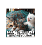 いじめ許さない子猫（個別スタンプ：18）