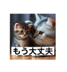 いじめ許さない子猫（個別スタンプ：21）