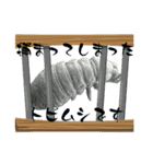 トビムシの世界（個別スタンプ：5）