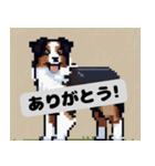 色々な犬のピクセルスタンプ（個別スタンプ：1）