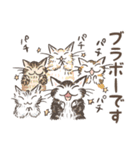 猫のダヤンスタンプ ビジネス敬語（個別スタンプ：2）