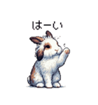 ドット絵 ライオン ドワーフ ラビット（個別スタンプ：9）