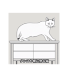 猫のパラダイスの日（個別スタンプ：7）