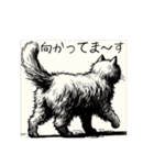 猫の日常の不思議と気まぐれ（個別スタンプ：38）