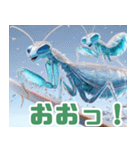 雪で遊ぶカマキリ:日本語（個別スタンプ：3）