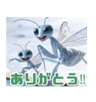 雪で遊ぶカマキリ:日本語（個別スタンプ：5）