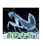 雪で遊ぶカマキリ:日本語（個別スタンプ：7）