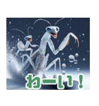 雪で遊ぶカマキリ:日本語（個別スタンプ：8）