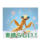 雪で遊ぶカマキリ:日本語（個別スタンプ：19）