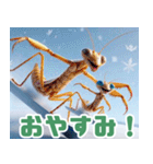 雪で遊ぶカマキリ:日本語（個別スタンプ：22）