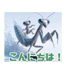 雪で遊ぶカマキリ:日本語（個別スタンプ：28）