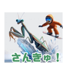 雪で遊ぶカマキリ:日本語（個別スタンプ：32）