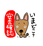 雑種犬コニーのほんわかスタンプ（個別スタンプ：10）