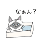 ロク猫スタンプ第二段(イラストver)（個別スタンプ：11）