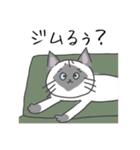 ロク猫スタンプ第二段(イラストver)（個別スタンプ：16）