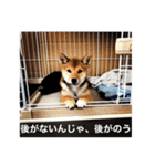 もなかスタンプ verson3（個別スタンプ：13）