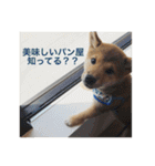 もなかスタンプ verson3（個別スタンプ：14）