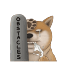 柴犬 Shiba 4（個別スタンプ：1）