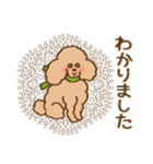 (犬)もこもこ茶プードル 毎日/敬語/一年中（個別スタンプ：9）