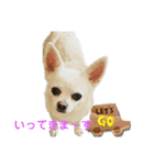 カイとソラの日常3（個別スタンプ：8）