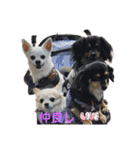 カイとソラの日常3（個別スタンプ：10）