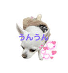 カイとソラの日常3（個別スタンプ：20）