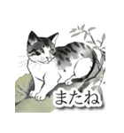 和風ねこ（個別スタンプ：8）