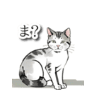 和風ねこ（個別スタンプ：20）