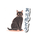 色鉛筆ねこ 黒猫（個別スタンプ：1）