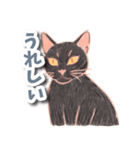 色鉛筆ねこ 黒猫（個別スタンプ：3）