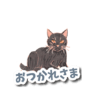 色鉛筆ねこ 黒猫（個別スタンプ：5）