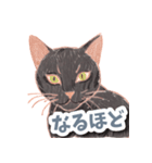 色鉛筆ねこ 黒猫（個別スタンプ：6）