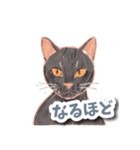 色鉛筆ねこ 黒猫（個別スタンプ：10）