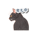 色鉛筆ねこ 黒猫（個別スタンプ：12）