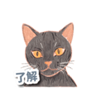 色鉛筆ねこ 黒猫（個別スタンプ：17）