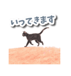 色鉛筆ねこ 黒猫（個別スタンプ：18）