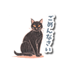 色鉛筆ねこ 黒猫（個別スタンプ：20）