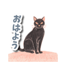 色鉛筆ねこ 黒猫（個別スタンプ：25）